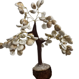 Divine Gomti Chakra Tree