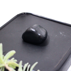 Black Obsidian tumble crystal used for protection, grounding, and removing negative energy.